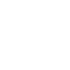 Entwicklung Icon
