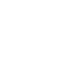 Datensicherheit Icon