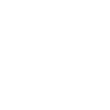 Kontakte Icon